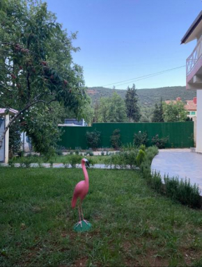 Villa ain soltan